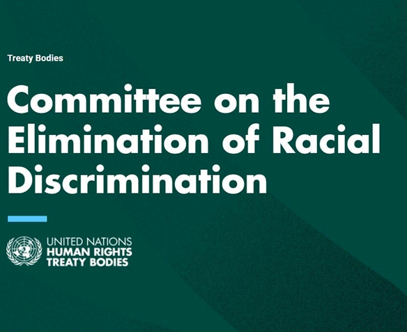 UN_Valovaya's tweet photo. Racial discrimination continues to deny people their rights &amp; undermine inclusive societies.

At the Palais des Nations, @UNTreatyBodies’ Committee on the Elimination of Racial Discrimination is holding its 118th session, reviewing States’ implementation of the Convention. #CERD https://t.co/J7gQRfBwZT