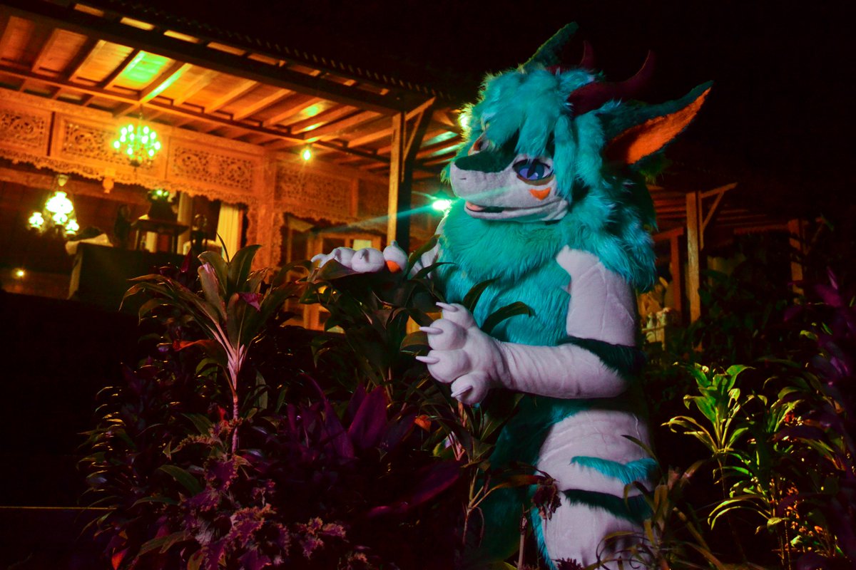 nerdywoffy's tweet photo. 🪴 Don't mind me, I'm just gardening (I swear I won't step on the plant)

Photos by Atreidae! #FursuitFriday #Fursuit https://t.co/nvj2SB2AGu