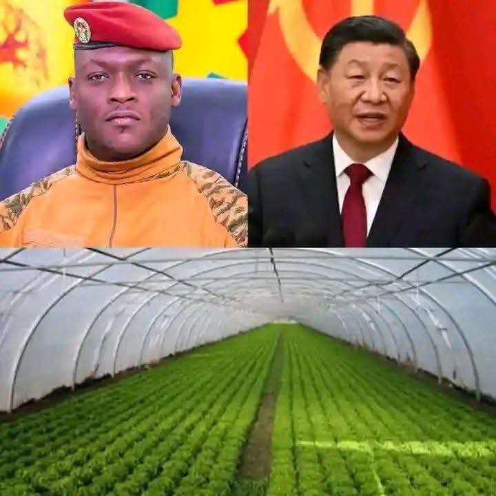 sahelbrut's tweet photo. 🔴🇧🇫🇨🇳🚜🌾 La #Chine lance un important programme de formation #agricole pratique destiné aux jeunes du #Burkina Faso. https://t.co/bNGr3oGiIE