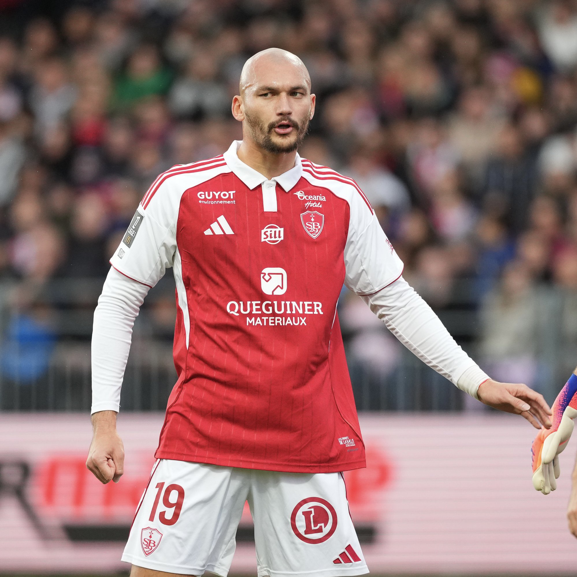 🚨 Ludovic Ajorque 🇫🇷 a une offre de prolongation du Stade Brestois sur...