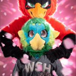 Photo by Flapjack 🪶 (@FlapjackBird)