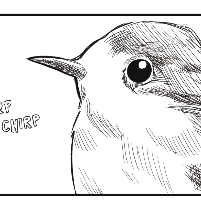 crescennd's tweet photo. chirp chirp?
https://t.co/6OB7qGRAQj
#knowingnothing https://t.co/aBGWKhrLCk