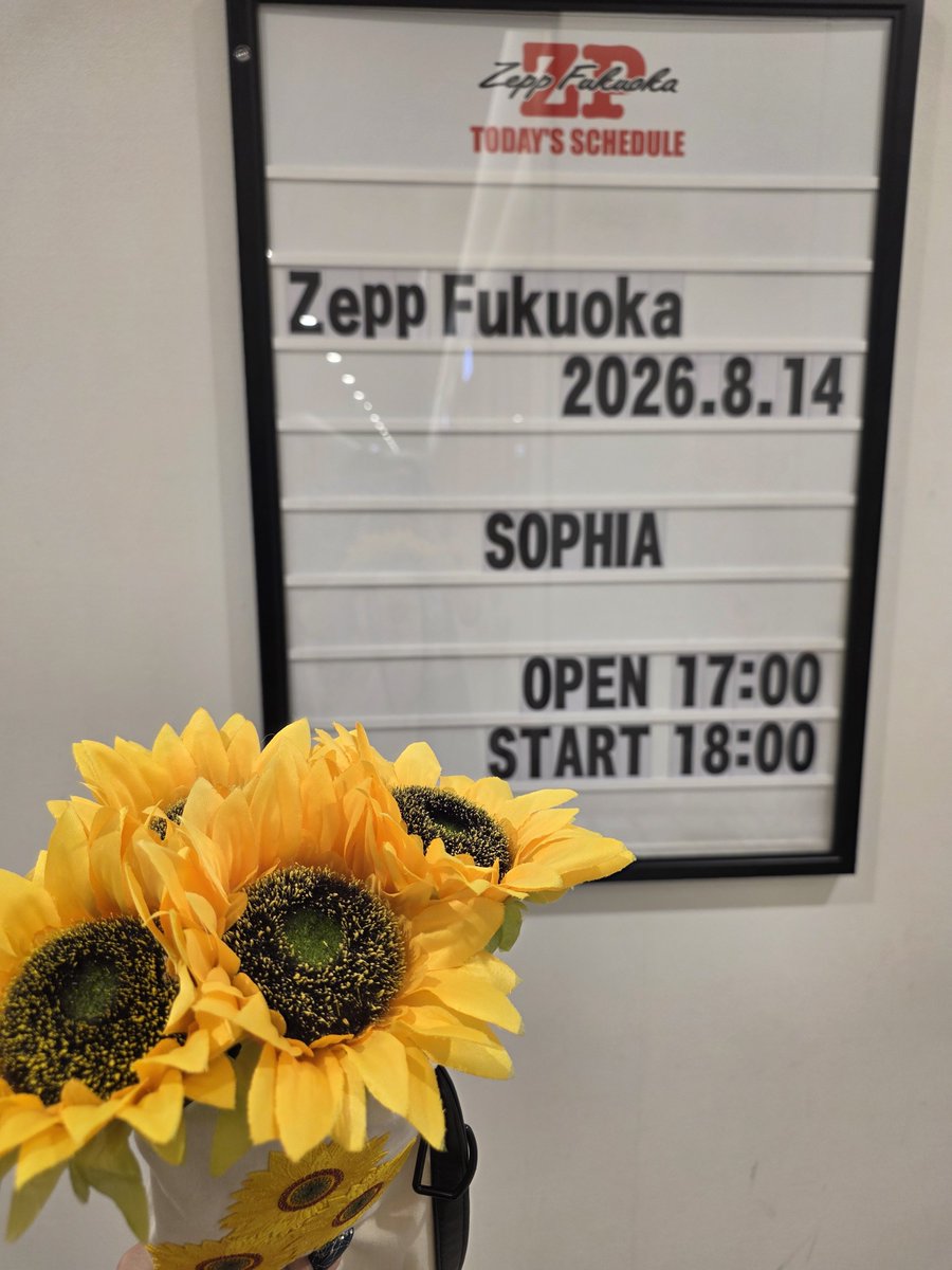MoonPeal's tweet photo. 福岡初日、席も凄く前でセトリも凄く凄く良かった♥️
泣いていいんだよ！で、色々な感情が爆発して大号泣してしまった､､､。
ホントに魂のこもった素敵なライブでした‼️✨
#SOPHIA
#松岡充 https://t.co/qspbGP9XR8