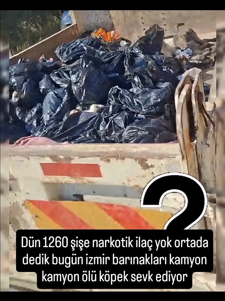 Srpulsy's tweet photo. İzmir’de katliam var!

@karsiyaka_bel
acil açıklama, soruşturma istiyoruz!
Barınaktaki köpekleri öldürmek SUÇ’tur! 
@izmirbld 
@drcemiltugay Bu suçun baş sorumlusu da sizsiniz, her ilçede köpekleri toplayıp bilinmeze götürüyorsunuz, binlerce narkotik ilaç nerede? 
#Katliam https://t.co/JnpRmbpoZK