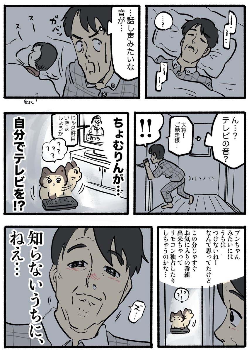 yajima_en's tweet photo. ねこおじ。

成長🐱 https://t.co/r90HEyeqoZ