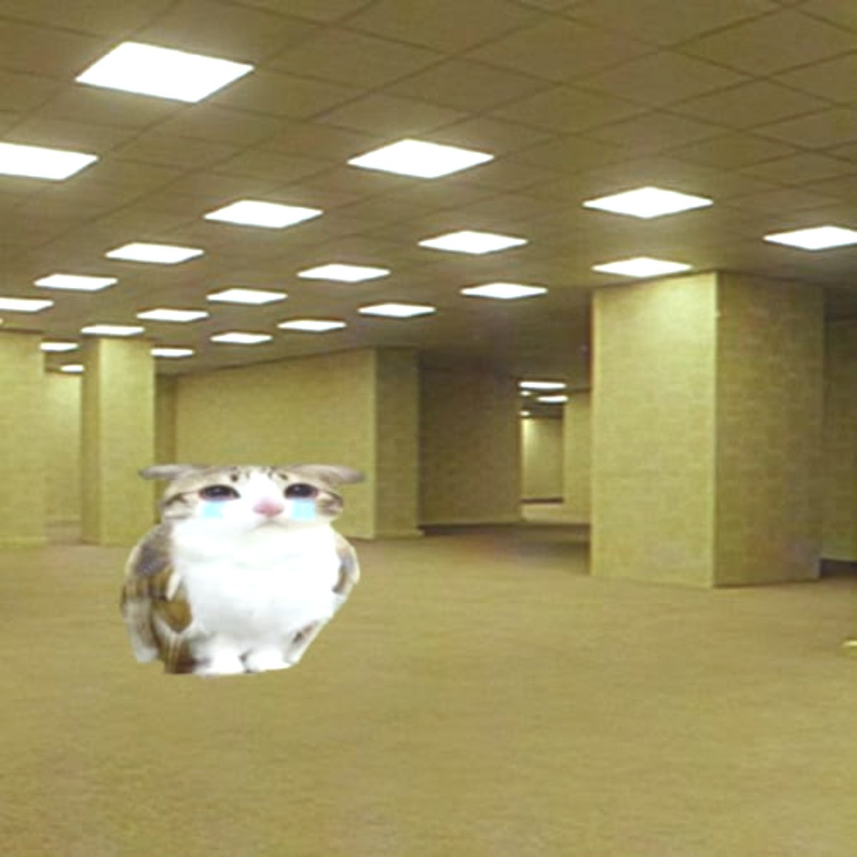 Kxmeow0's tweet photo. https://t.co/7nKsHNpY4g