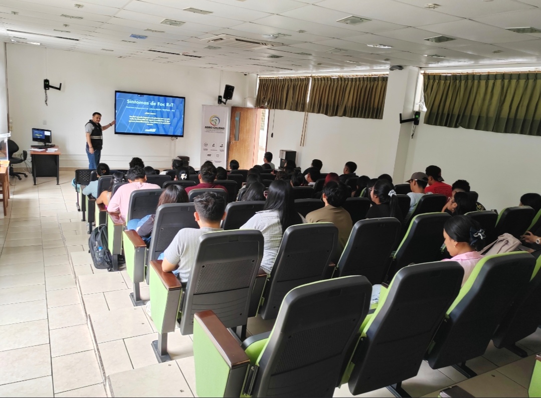 AgrocalidadZ3's tweet photo. 🍌#JuntosContraFocR4T
En #Pastaza capacitamos a estudiantes de la Universidad Estatal Amazónica en temas de prevención de Foc R4T, con el objetivo de actualizar y reforzar los conocimientos de vigilancia en la provincia. 
#ProtegemosElAgroEcuatoriano 💪 https://t.co/Ium2ipohkO