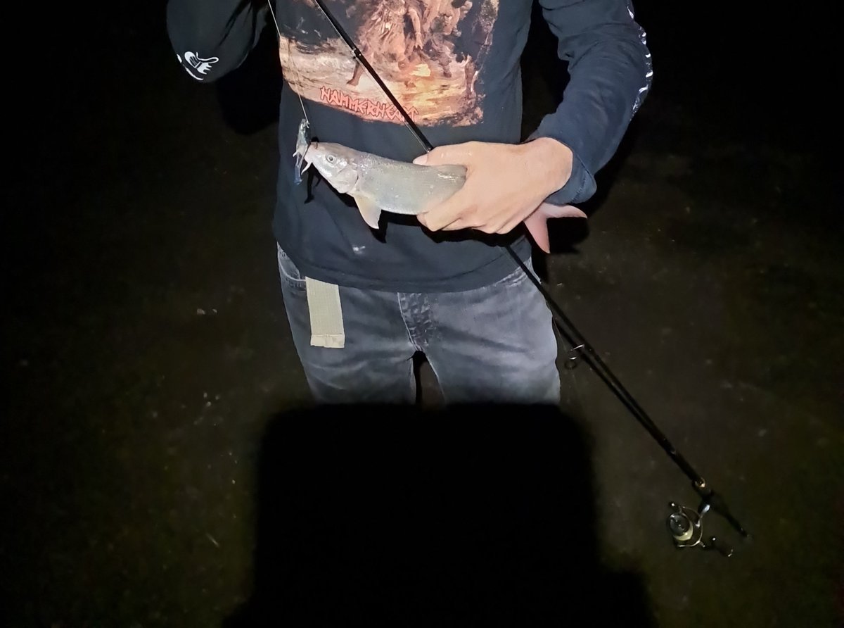 CiobanArdelean's tweet photo. Barbel I caught these days in the Someș river, I'm still very much a noob at fishing, especially spinning but sometimes i get lucky 😁😄😅 https://t.co/FEWG4Ca68Q