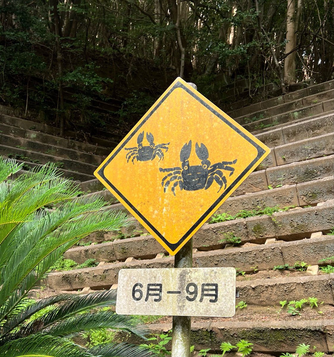 Teri_53's tweet photo. カニは初めて見たかも https://t.co/ECugrC0oQE