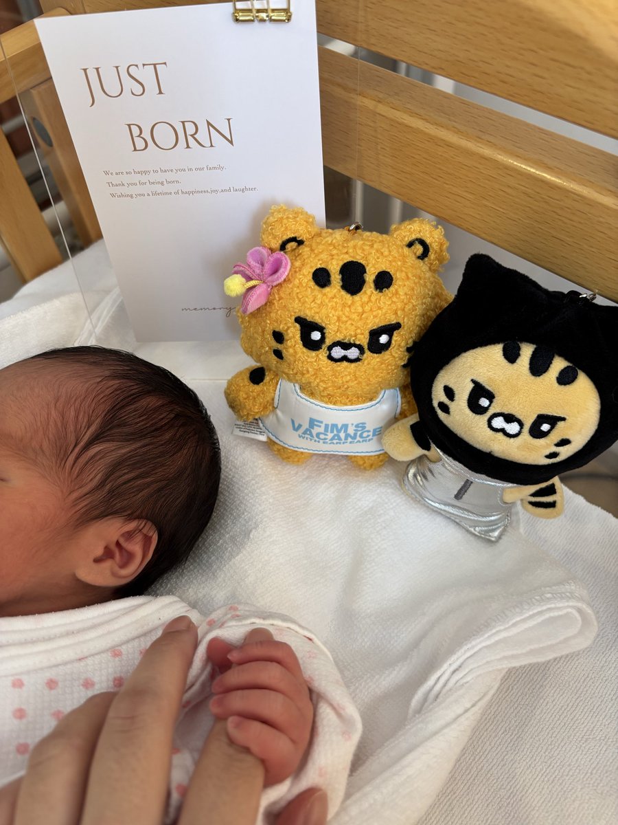 ioaoi87chaewon's tweet photo. 先日、双子、無事出産しました〜👶🏻👶🏻
（もう退院もしてます😌）
男女の双子です🩷🩵
お姉ちゃんと弟くんです🫶🏻
妊娠中、励ましてくれたり応援してくれたりあたたかいお言葉をくれたピオナのみなさん、本当にありがとうございました😭
双子育児、楽しみながらがんばります💪🏻 https://t.co/VYUT6GsgvH
