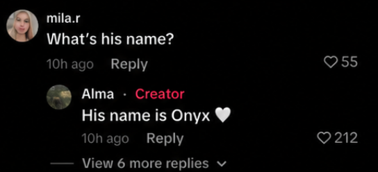 GeckoPNL's tweet photo. His name isnt NENE its "Onyx" https://t.co/MeVy9THtud