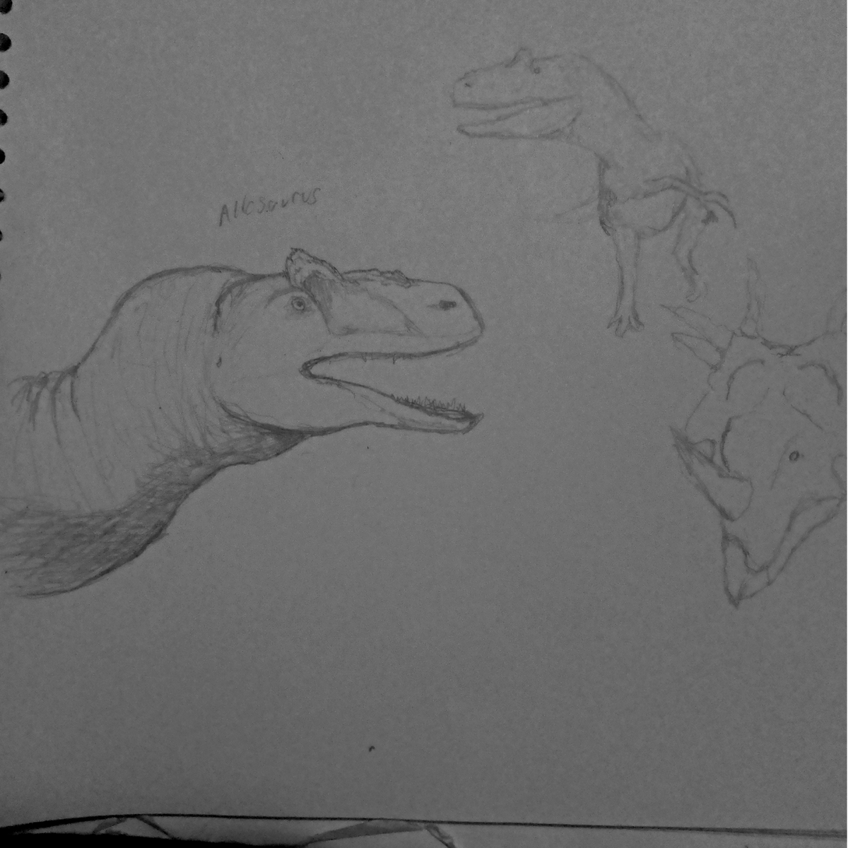 real_alberto17's tweet photo. Random sketches of 2 allosaurus and a styracosaurus. https://t.co/nNShahrLlN
