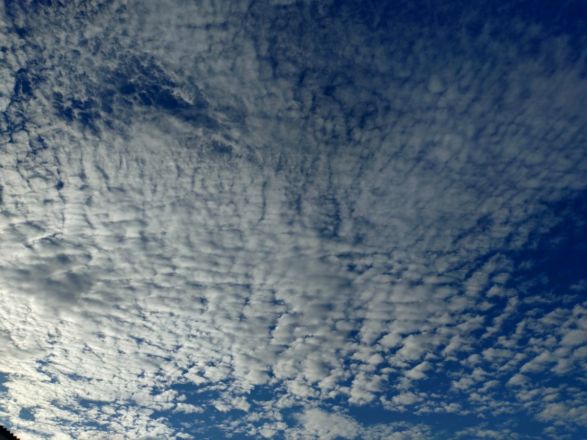 2273dwlln's tweet photo. 雲が秋って感じ https://t.co/f7AnAQDDxZ