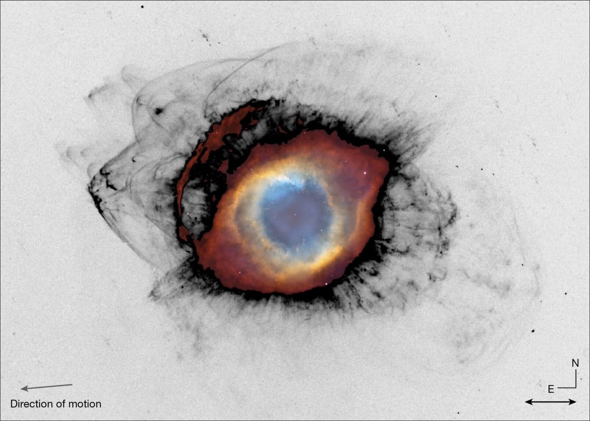 LKosmonautika's tweet photo. Sembra l’occhio di un animale. In realtà, sono le immagini del telescopio #MOTHRA delle onde d’urto attorno alla Nebulosa a #Spirale, a 650 anni luce. Qui la materia di una stella morente si mescola al mezzo interstellare, preparando il terreno per la nascita di nuove stelle https://t.co/dfqTqGmOZ5