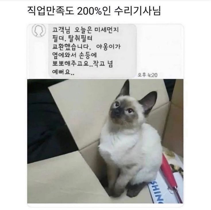 gamsungdomm tweet picture