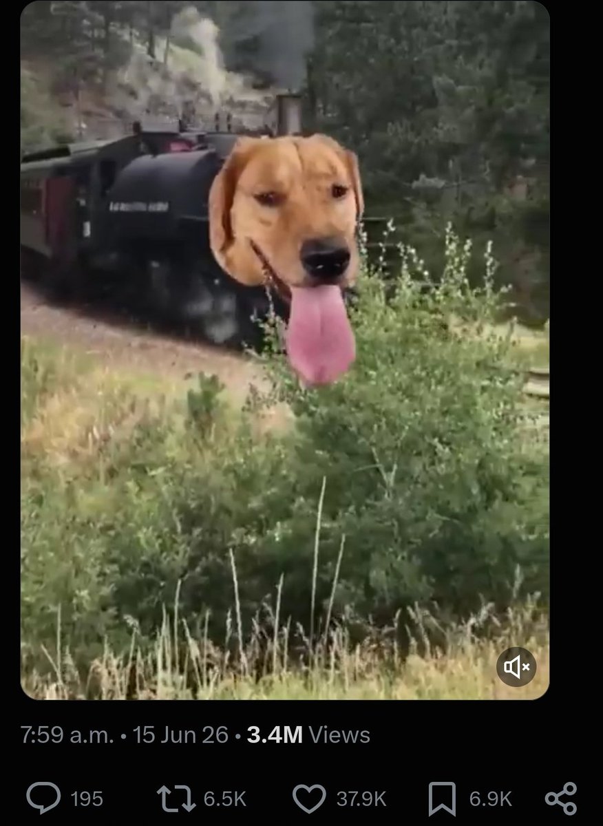 Ansom100x's tweet photo. For reference, Traindog did a 2.4mil MC with only 3.4million views to this date from June 15th.

Meanwhile, Truckdog has 10.4 MILLION VIEWS in 4 days.

Let that sink in

4TR2t5xgCXdvhuge5yN43oj6BE7bLHdhXdXJ2JM8pump https://t.co/dzt3flcylW
