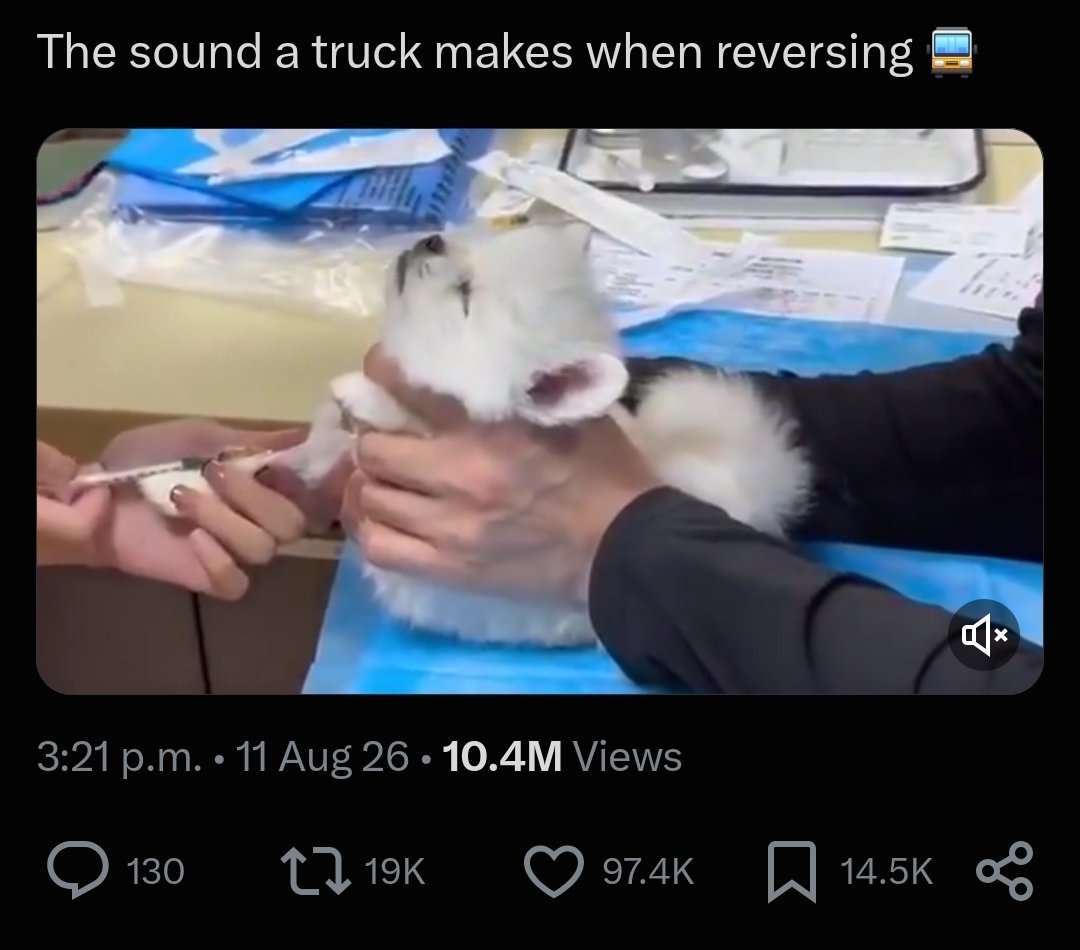 Ansom100x's tweet photo. For reference, Traindog did a 2.4mil MC with only 3.4million views to this date from June 15th.

Meanwhile, Truckdog has 10.4 MILLION VIEWS in 4 days.

Let that sink in

4TR2t5xgCXdvhuge5yN43oj6BE7bLHdhXdXJ2JM8pump https://t.co/dzt3flcylW