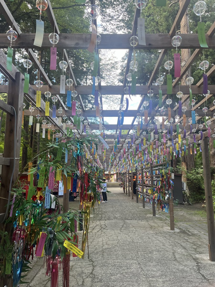 kaoru530530's tweet photo. 伊佐須美神社行って、ソースカツ食って、恐竜展みての一日 https://t.co/CNjkogt7Wj