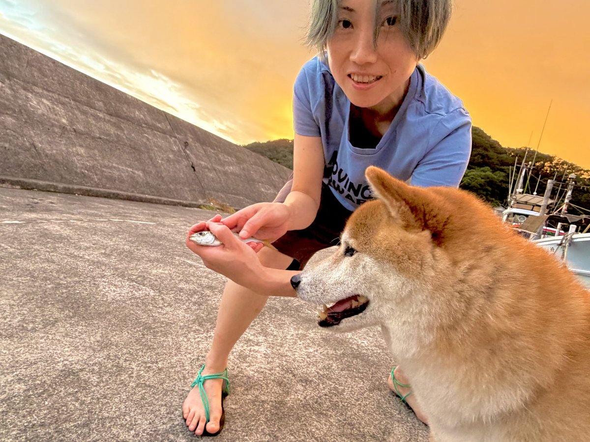 mayumi008's tweet photo. 本日も盛況ありがとうございました
明日と明後日でナポリピッツァはラストです
カキ氷に子浦コーラ
その他ドリンクなどは8/17（月）までやります
今日は気候がちょうどよくて浜辺でピッツァ食べる人が多かったです
あと防波堤でアジ釣れた！嬉しい！！
また明日〜
●海の家ぼろんじ
11:00-16:00 https://t.co/kcvswwcAsj