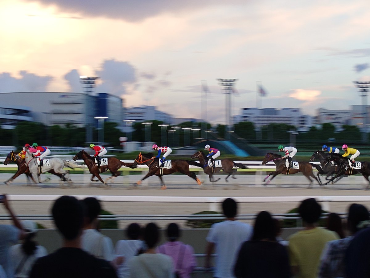 KARAD_Gallop's tweet photo. 半年ぶりくらいに大井競馬場に https://t.co/Mk5RTu8JAJ
