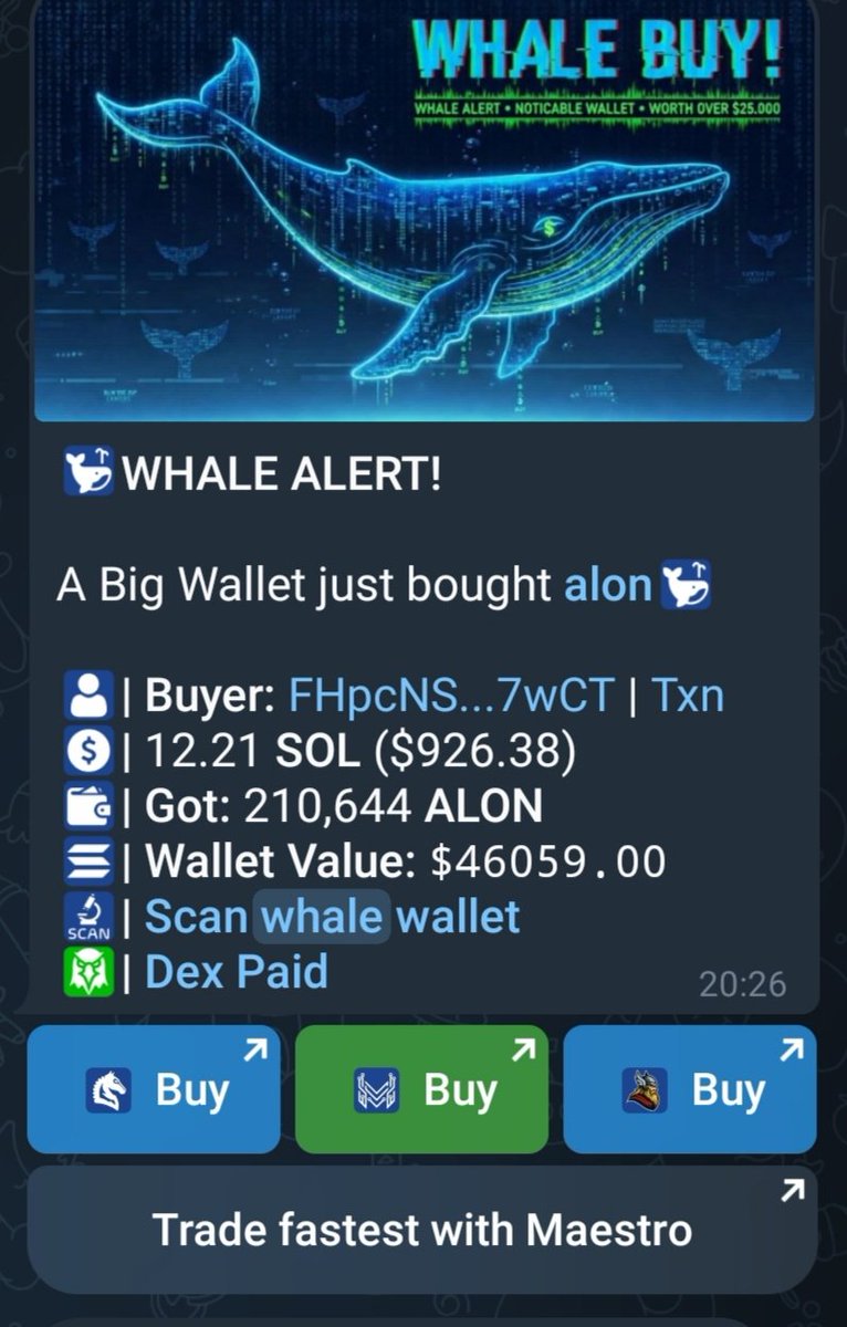skeletontoolsx's tweet photo. Did you know? Skeleton buybot notify whale buys of your taste in your telegram group. Set how wealthy wallets should be alerted and hype up your community if a big chad enters your holders area.
Info as allways on our docs: https://t.co/iXDCsOxibZ
#sol #RobinhoodChain #evm https://t.co/9Qu1esc4BT