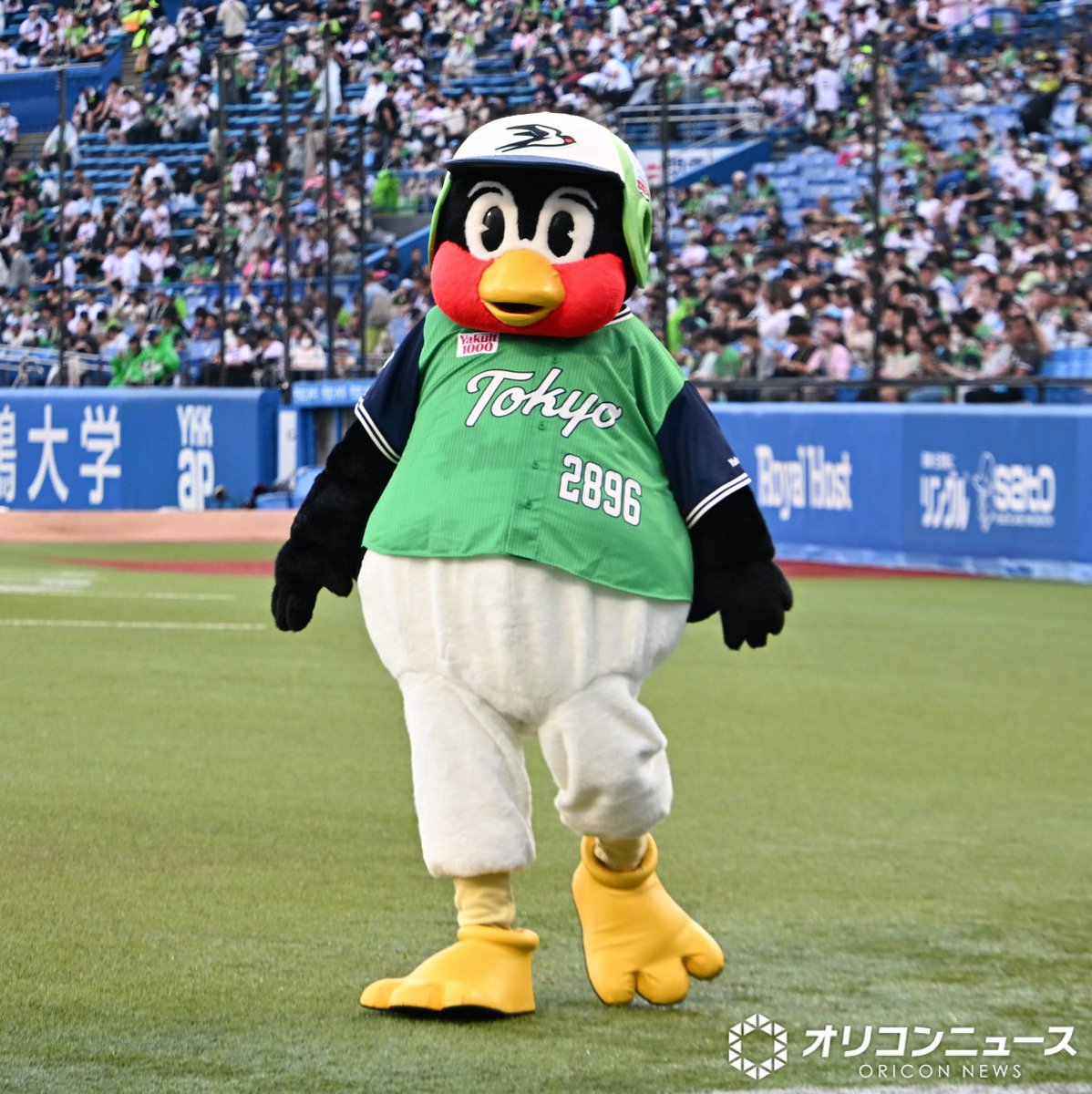 oricon's tweet photo. Hey! Say! JUMP・知念侑李🩷
人生初のファーストピッチ⚾
⠀
大暴投で自己採点は50点
https://t.co/iVicpNiLW8
⠀
ファーストピッチの次は
ダンスチームとコラボ希望❓
https://t.co/0eF4h1uJHd https://t.co/DWoLVfFQLv