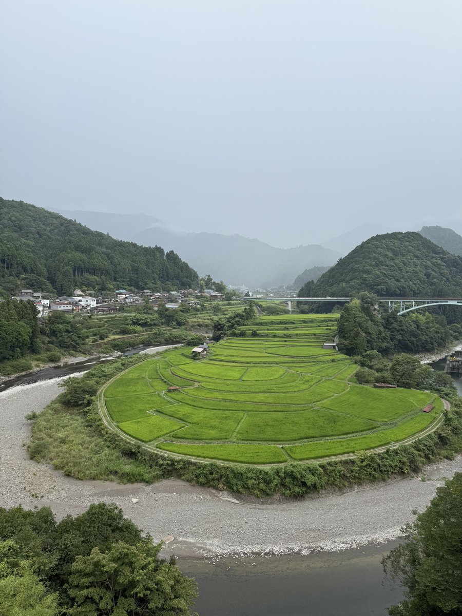 zino_progress's tweet photo. 晴れたり曇ったり土砂降りになったり...和歌山ややこしや空の日。由良ちゃんぽん、具沢山ボリューミー＆とろみ＆細麺で美味しかったわ。 https://t.co/c1WpHKDM5T