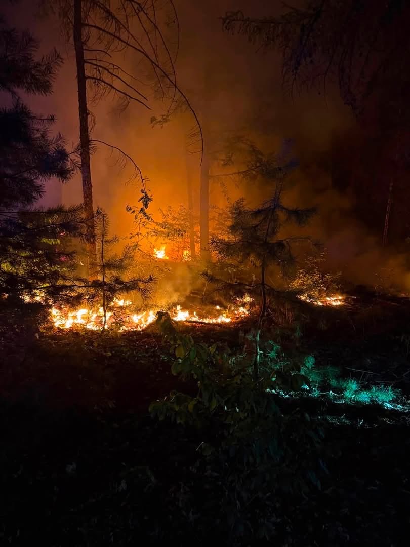 Natuurbrand tussen Elst en Rhenen