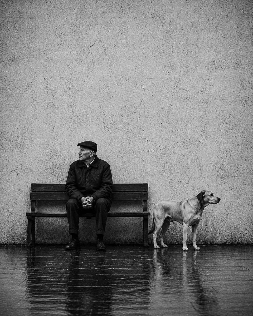Loureed879035's tweet photo. 🤍📷🖤 https://t.co/zeZU06ZMA0
