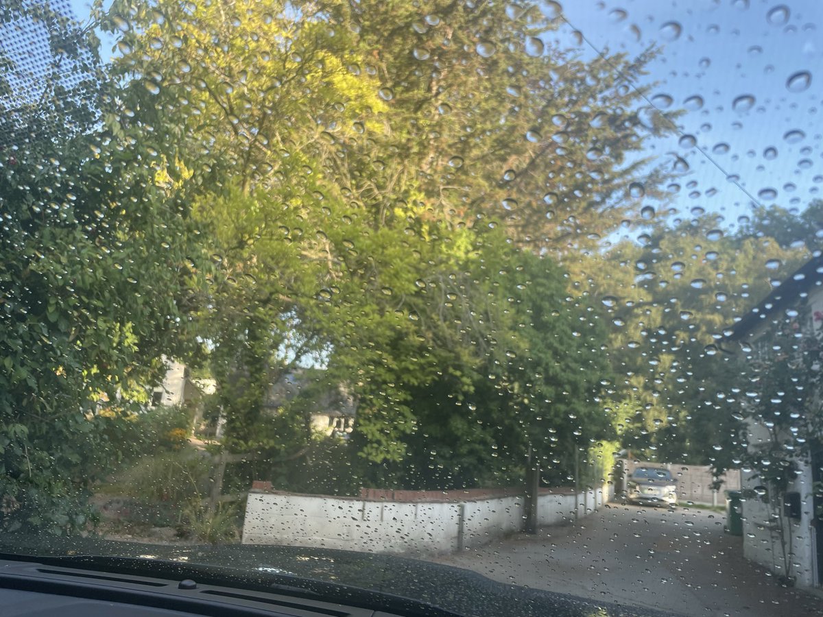 SJackaman's tweet photo. Very strange appearance on my car window screen this morning !!! ☔️ #summer #droughtwarning https://t.co/PL8eVZUouJ