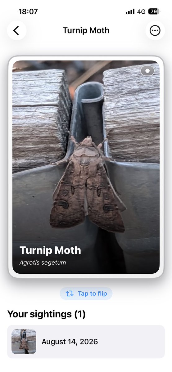 MLife70780's tweet photo. Took my kid on a “bug safari” in the backyard.
Every time we found something, we snapped it.
The app turned each one into a card with fun facts and rarity.
Now he’s obsessed with finding a Legendary.
Perfect for curious kids, hikers, or anyone who still wonders “what is that?”
Free download:
https://t.co/KY0VbCxdxe
#FamilyApp #OutdoorFun #InsectCollector