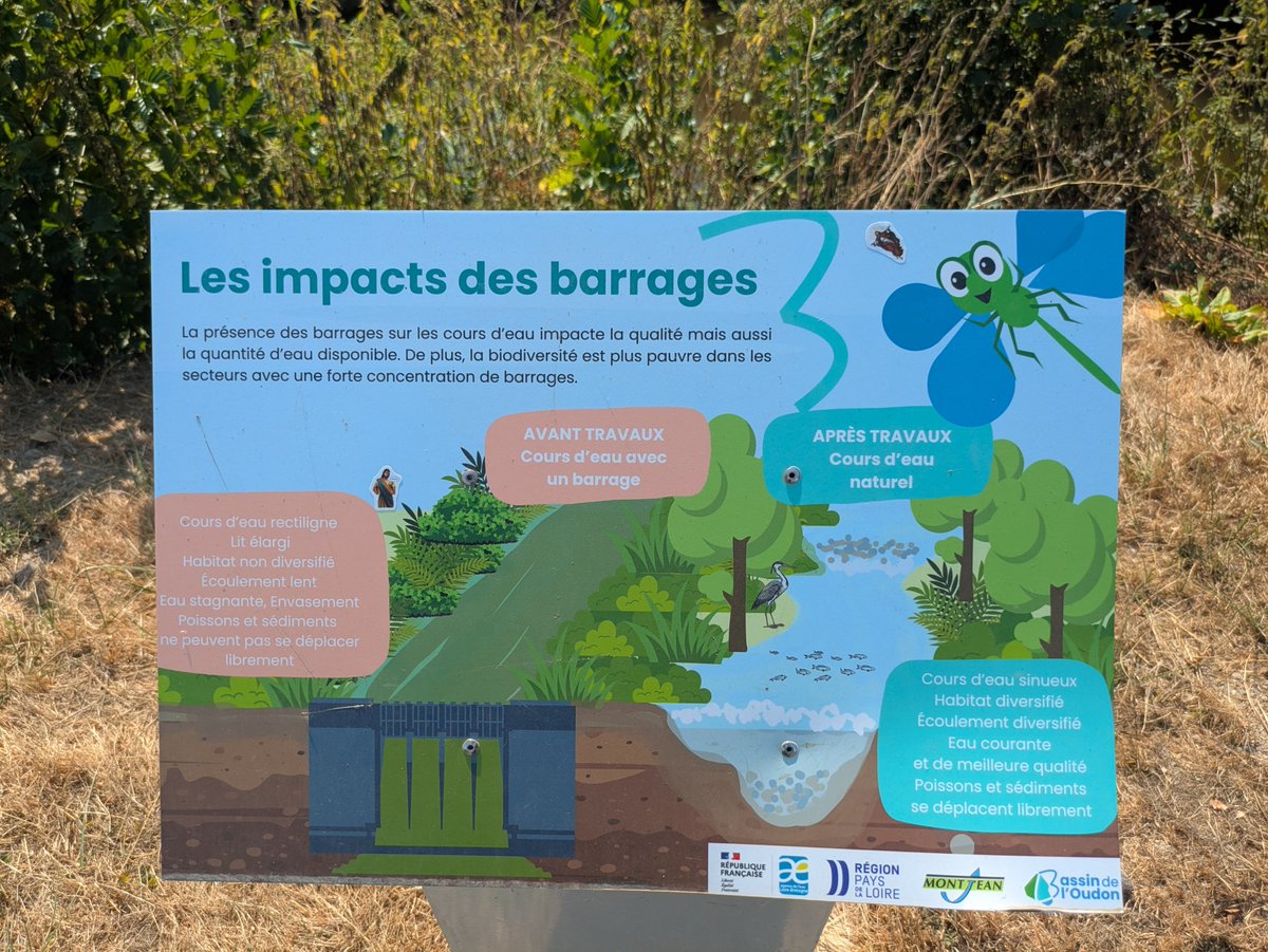 edo_beer's tweet photo. Quand je passe sur des anciens sites de travaux pour voir l'état des cours d'eau pendant la sécheresse et que je tombe sur un panneau pimpé par des cathos 😂 https://t.co/BUCG2ec6MB