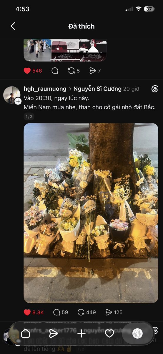 lynn_wls's tweet photo. @ryandev1st @Judy_Heine Bạn không hiểu à. Ảnh mà bạn kia lấy trên mạng ảnh đã được AI feed thêm hoa. Không phải ảnh gốc. Bạn xem các bức ảnh gốc tại từng thời điểm không có bức ảnh nào giống bức ảnh ở trên. T chỉ muốn nói rằng đừng dùng ảnh đã feed AI https://t.co/jEU2JP8RR9
