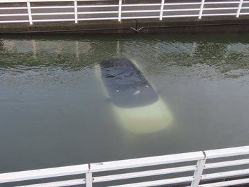 JeydenD's tweet photo. 最初に載せた2台は深いところに沈んでいるため未だに確認できず その時点では水没を逃れていた車がそのまま動けずに増水して水没していてらしく、その車は夜が明け上から確認できた 完全に水没しているのにワイパーが今でも動き続けていることに驚いたhttps://t.co/TXUwqiEXtD https://t.co/YfKdIulDFU