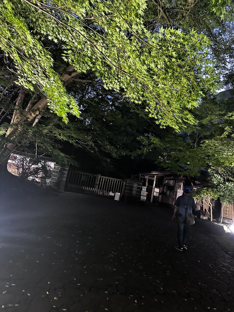JoyntN's tweet photo. 三島市なう✌️
川を歩くカップル(＊´∀`)σ)´A`)
青春ですな〜🤭 https://t.co/3CL07qAbMq