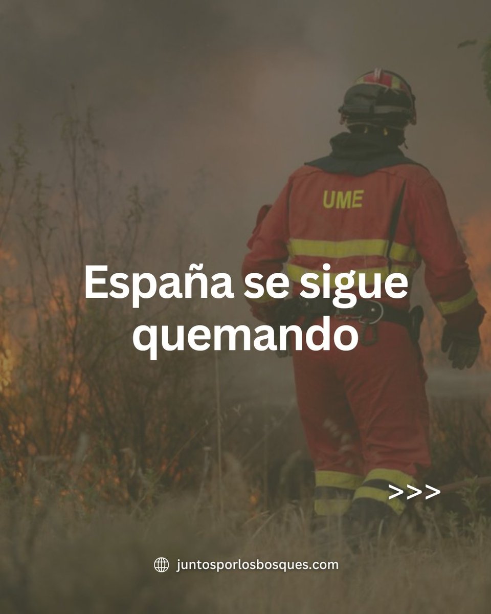 JuntosxBosques's tweet photo. ❗🔥 España se sigue quemando. https://t.co/3rGXta7V1Y