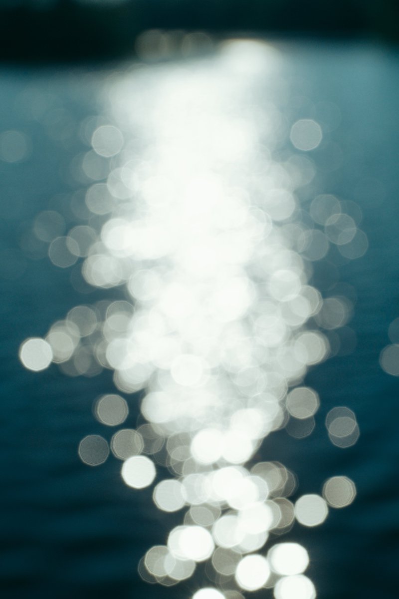 sho__pic's tweet photo. life. https://t.co/D0V7H5Vt2Q