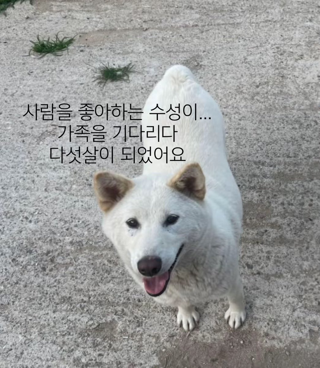 Hamokjeong's tweet photo. 문의가 하나도 없어요ㅠ
채팅창 혹시나하는 마음에 수시로 열어보는데
원래 이런건가요ㅜ 뭘 잘못하고 있는 걸까요

우리 수성이 3년 반을 기다렸어요... https://t.co/SU6zp10yZb