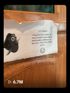 smkrsol's tweet photo. A FISH NAMED "DORY" IS GOING MEGA VIRAL ON TIKTOK

Dory has blown up on Tiktok with 7M views in just 3days and has literally become a MEME.

Dory has a swimming problem causing her to lay on the floor like she's dead, the comments are filled with MEMES.

https://t.co/BpvpWVeRvu https://t.co/OwTP5GGb8T