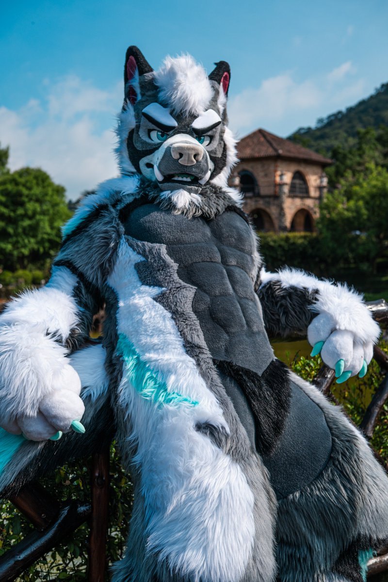 Reijinwolf's tweet photo. せっかくこんなに天気がいいんだから、もちろん外に出て日向ぼっこしなきゃね！
ほかにも、のんびり遊びに行けるおすすめの場所はありますか？

The weather is finally this nice, so of course I had to come out and enjoy some sunshine! 
Any recommendations for other places I can go out and explore?

📷:  @racoonwolf 
#FursuitFriday #Fursuit