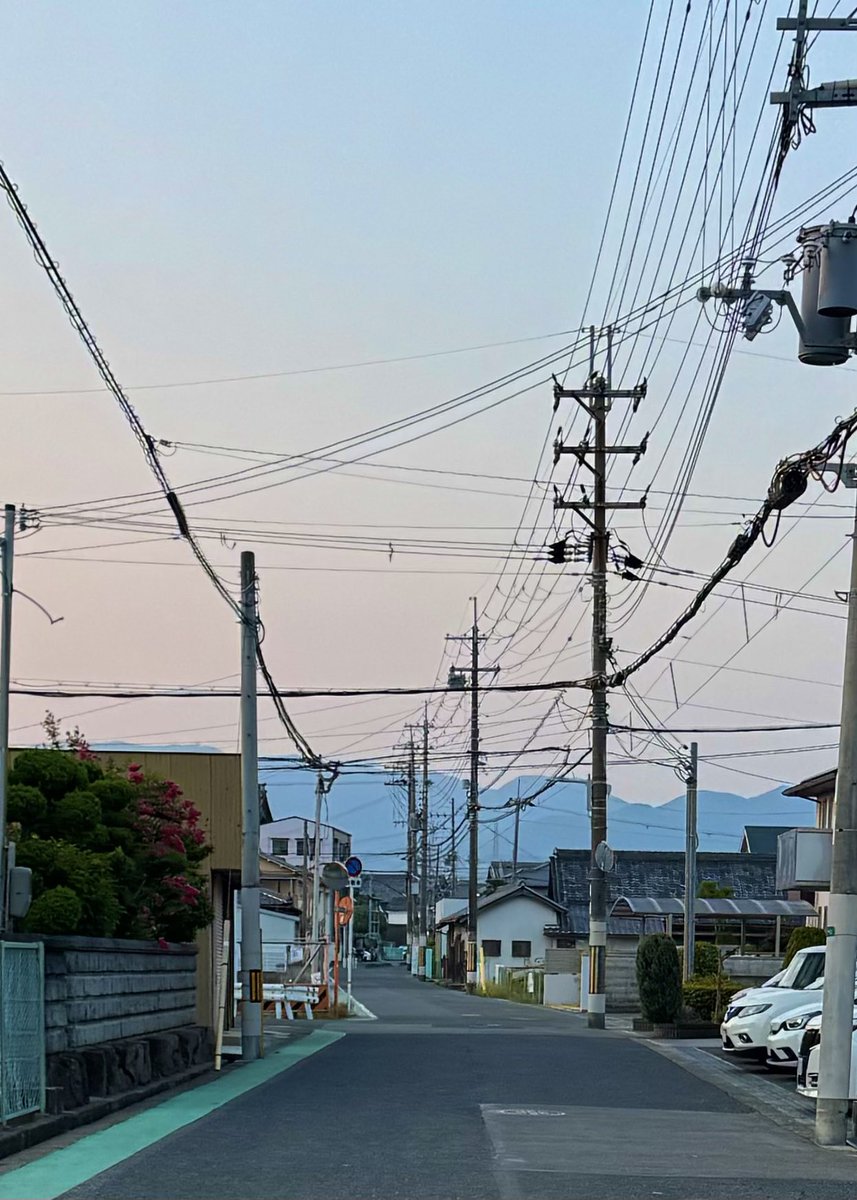 最近イッヌ🐕の散歩で 朝焼けと夕焼けしか見てねぇなw 夕焼けは