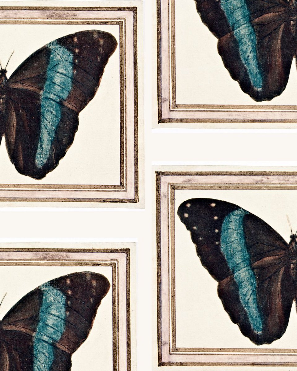 MuseoCerralbo's tweet photo. Detrás de nuestras estampas hay una historia. Y ahora están disponibles para que las descubráis.

🔎 Entra en https://t.co/nxtV5xW83z y sumérgete en nuestras colecciones https://t.co/41BvlhqOKc