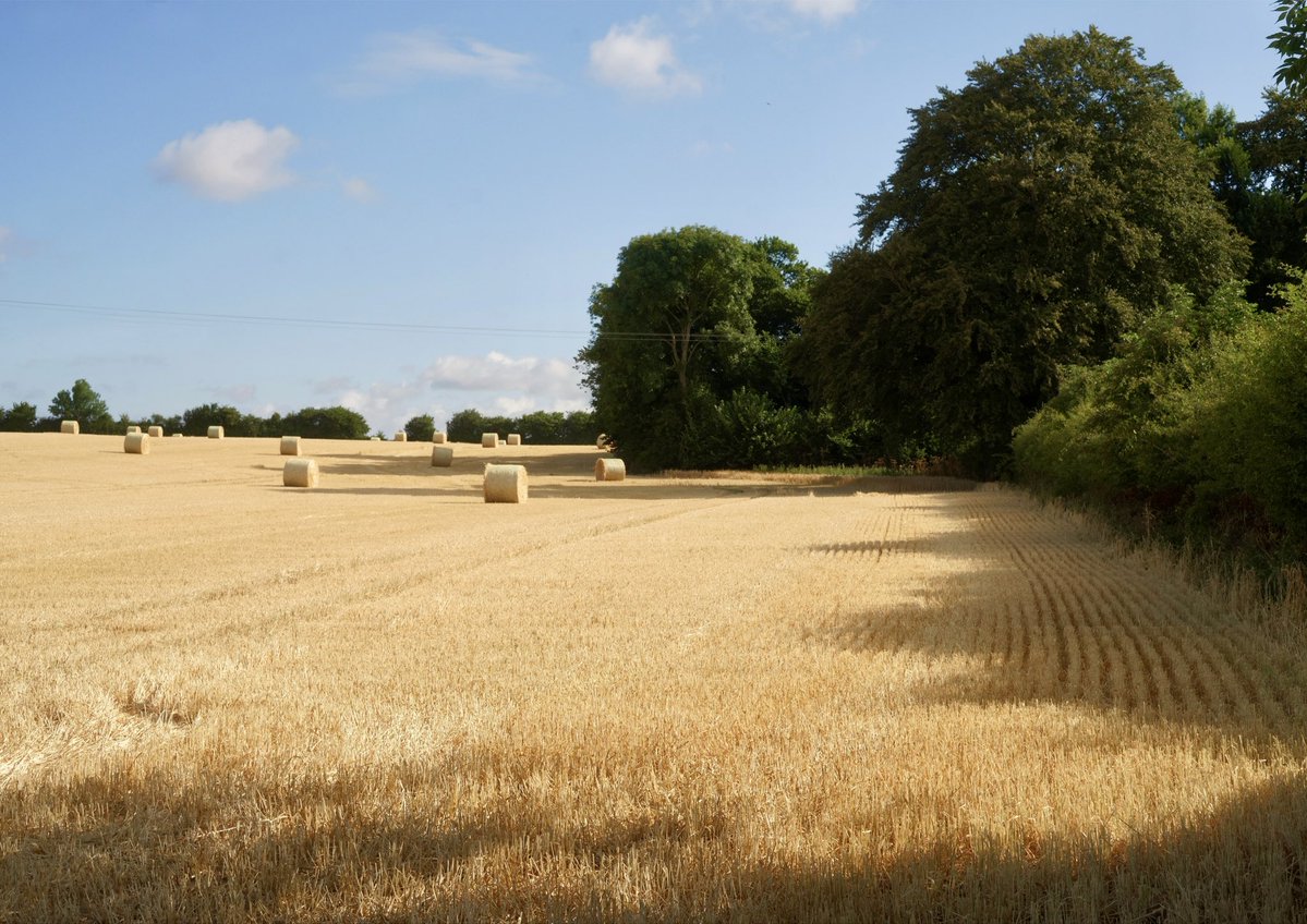 jameswburke2011's tweet photo. The last of the hot weather #ireland https://t.co/7B0WLYpTaB