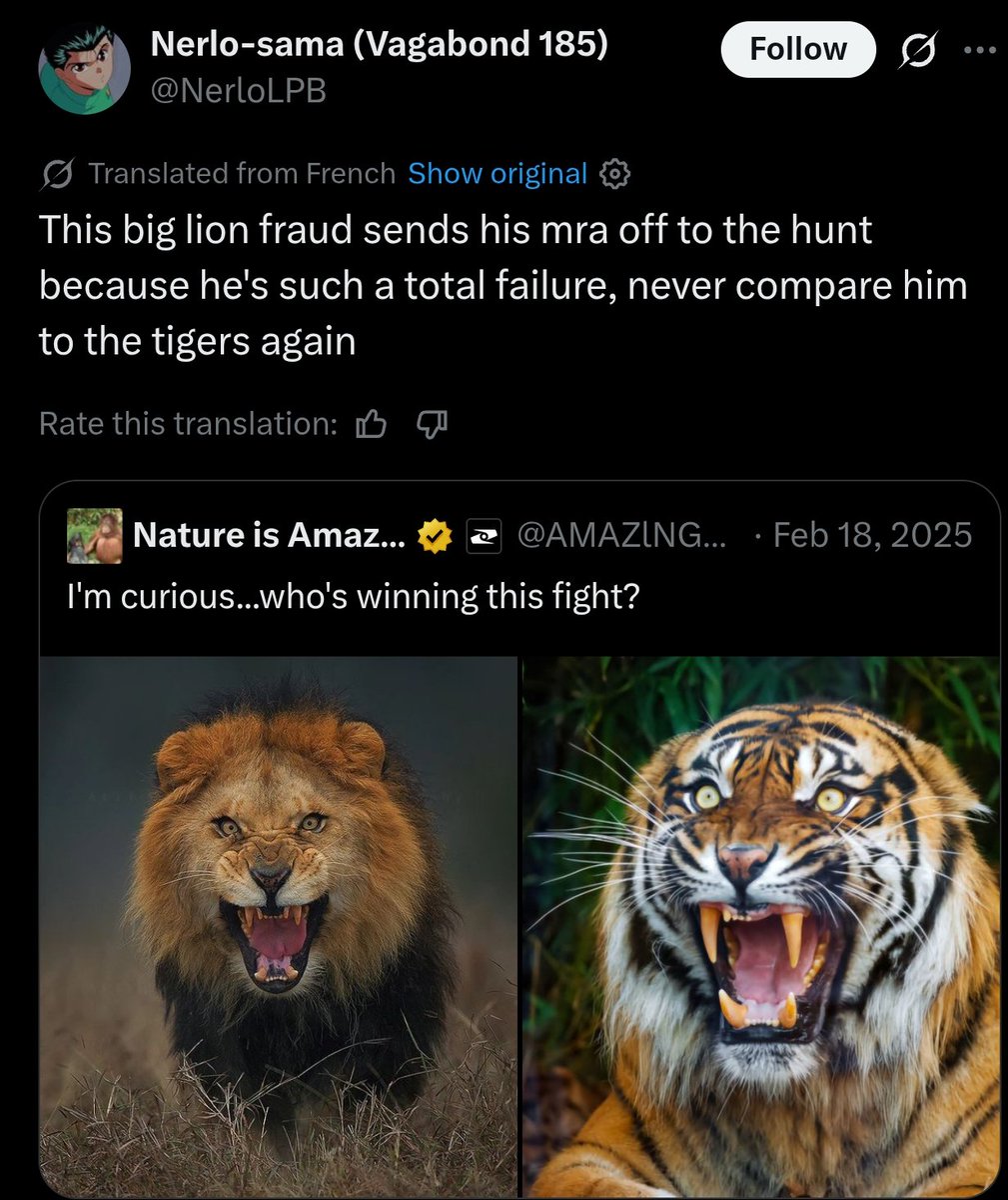 tigertwting's tweet photo. The whole lion propaganda ends in this post. BEST TWEET OF ALL TIME 🐯. https://t.co/gP5qlpRx6F