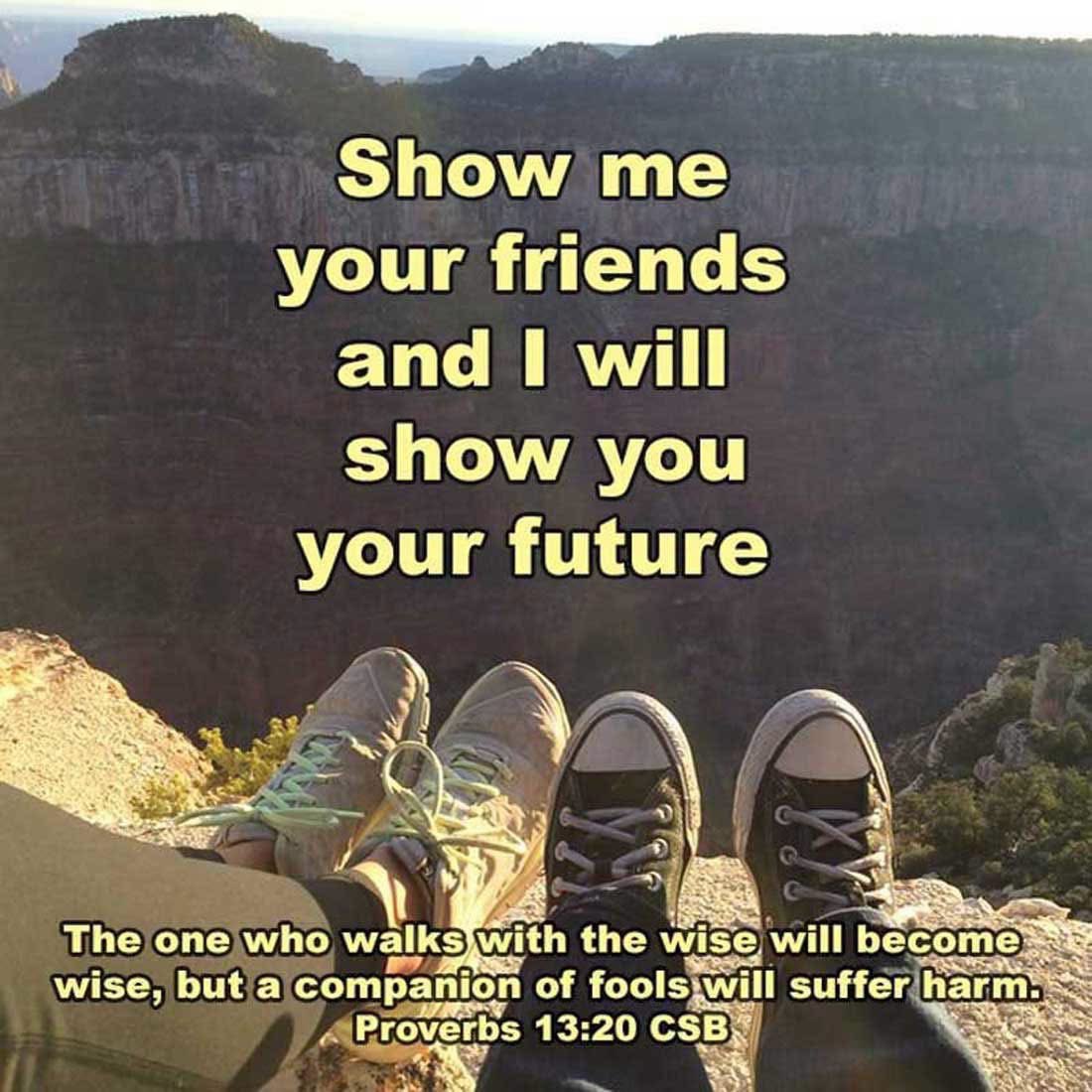 dailyword4you's tweet photo. The one who walks with the wise will become wise, but a companion of fools will suffer harm. Proverbs 13:20 CSB Show me your friends and I will show you your future. #ChooseFriendsCarefully https://t.co/TgagOQ1xqh