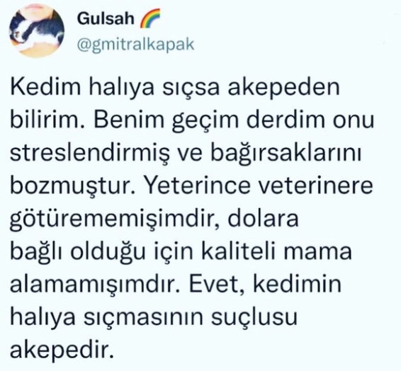 eskitvitlerr's tweet photo. https://t.co/hDsMYc4kEe