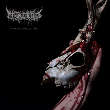 KMANRIFFSMetal's tweet photo. 2⃣0⃣2⃣6⃣: THE UPCOMING TERROR ⚔️ 
➡️October 23rd, 2026⬅️

MENTAL CRUELTY - Echoes of a Forlorn Land 🇩🇪⚛️

5th album from Karlsruhe, German Symphonic Deathcore outfit⚛️

BC➡️https://t.co/w0b4Xuhl1V⚛️

#MentalCruelty #Echoes #SymphDeathcore @centurymedia #TheUpcomingTerror26 #KMäN https://t.co/DBxYzfKzpd