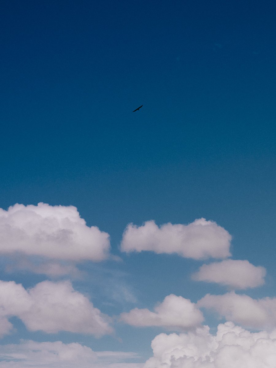 supersub_aka's tweet photo. TOKYO “BLUE” SKY — 1:20 PM. https://t.co/95fTuAFzDN