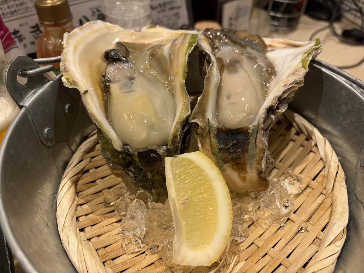 garnetii's tweet photo. 岩牡蠣が半額だと言うので遠慮なくたのんでみました
合わせるのはもちろんポン酒
その名もRock oyster lovers！
岩牡蠣の為の日本酒があるなんて
こりゃ旨い
更にホタテバター醤油
安城の地酒人生劇場と合わせます
濃いホタテとジワジワ来る甘酸っぱい熟成酒
旨いという言葉しか思いつかない😍💕 https://t.co/YEJHo8HWxF