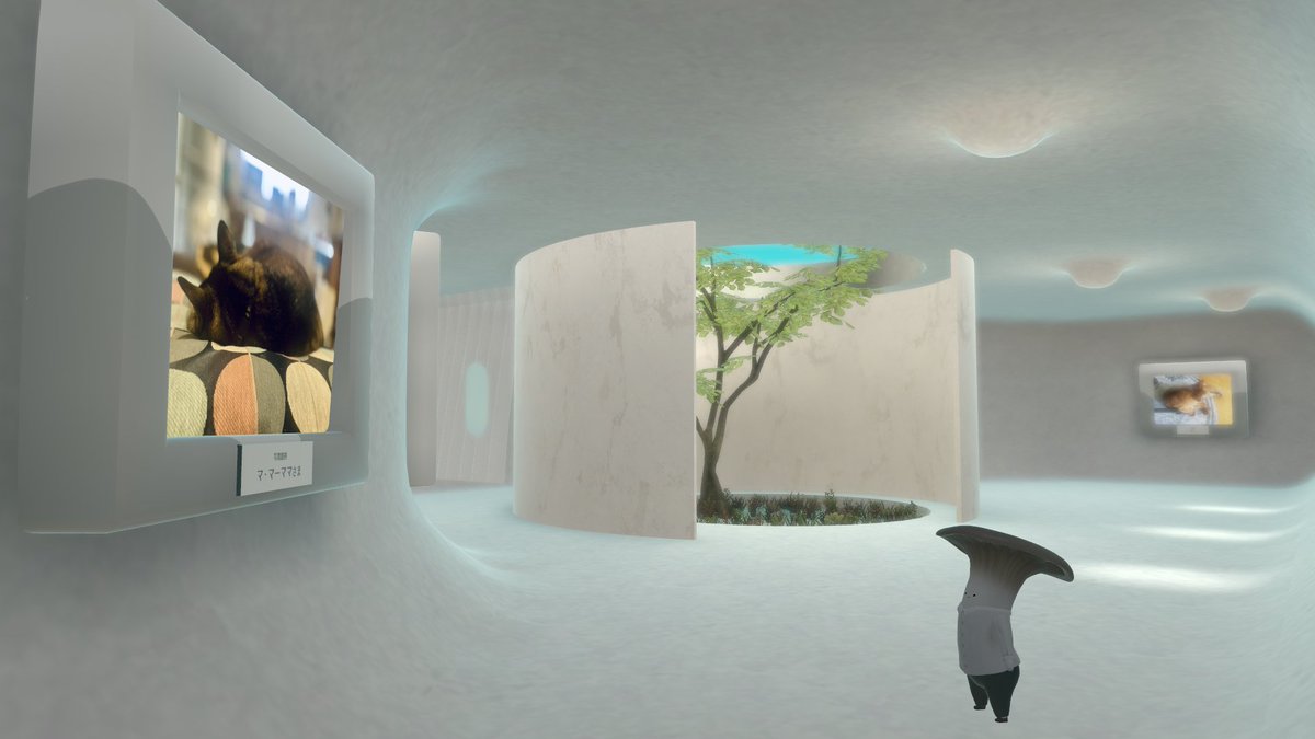 mamamam040's tweet photo. 「ねこのコトブ展」にうちの猫さんの写真が展示されてます！
いろんな猫の後頭部の写真が並んでる、かわいい展示🐈✨
会場も、猫の柔らかさを感じさせるような曲線が美しい建築なので、ぜひ見に行ってみてね。
＃ギャラリーねこわずらい https://t.co/LQPWgxc8MD